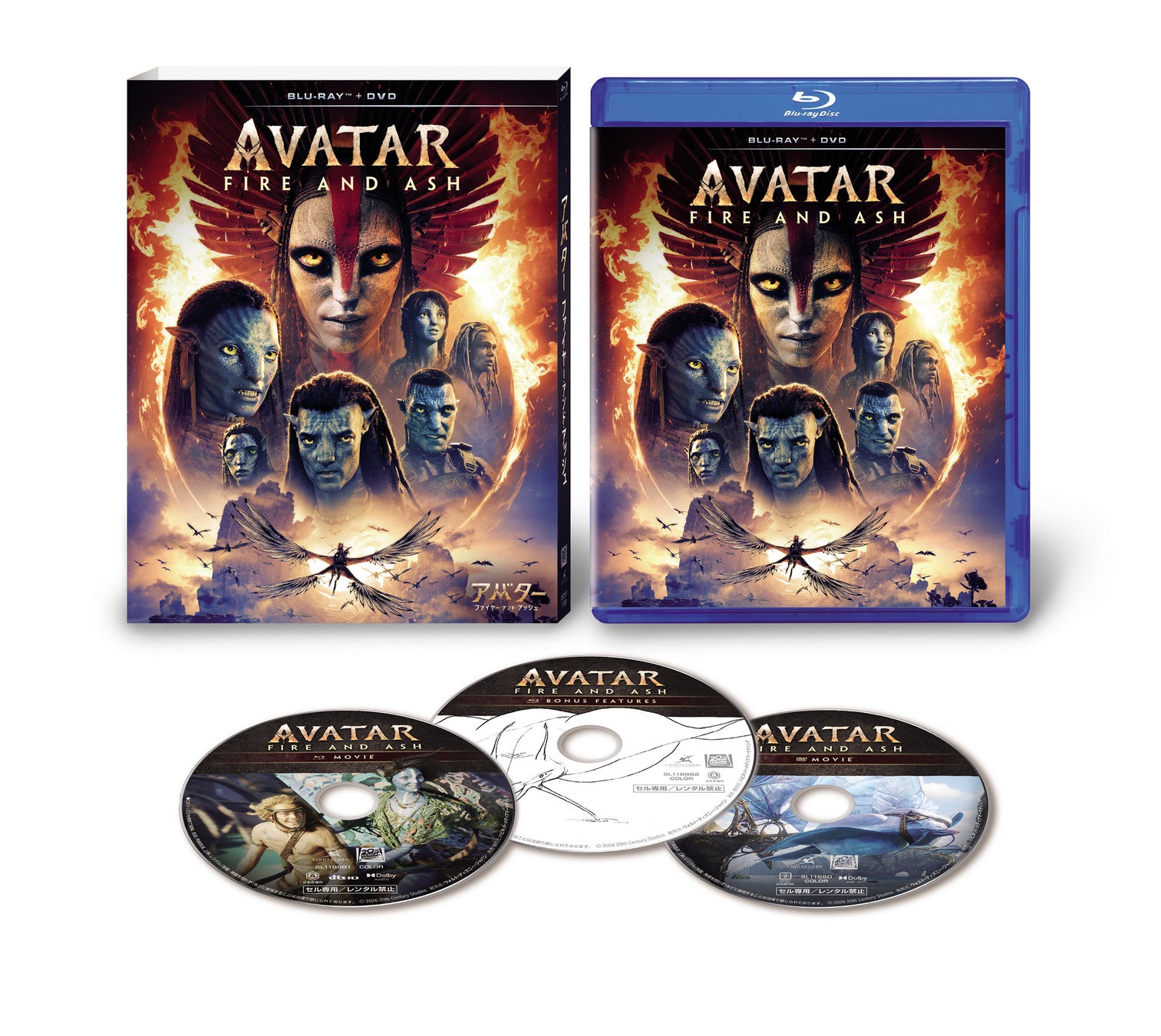 元「ASTRO」ROCKY（ラキ）氏がK-POPディレクターとして日本の学生を直接指導！TSM「4年制K-POP専攻」開校記念レッスンを開催