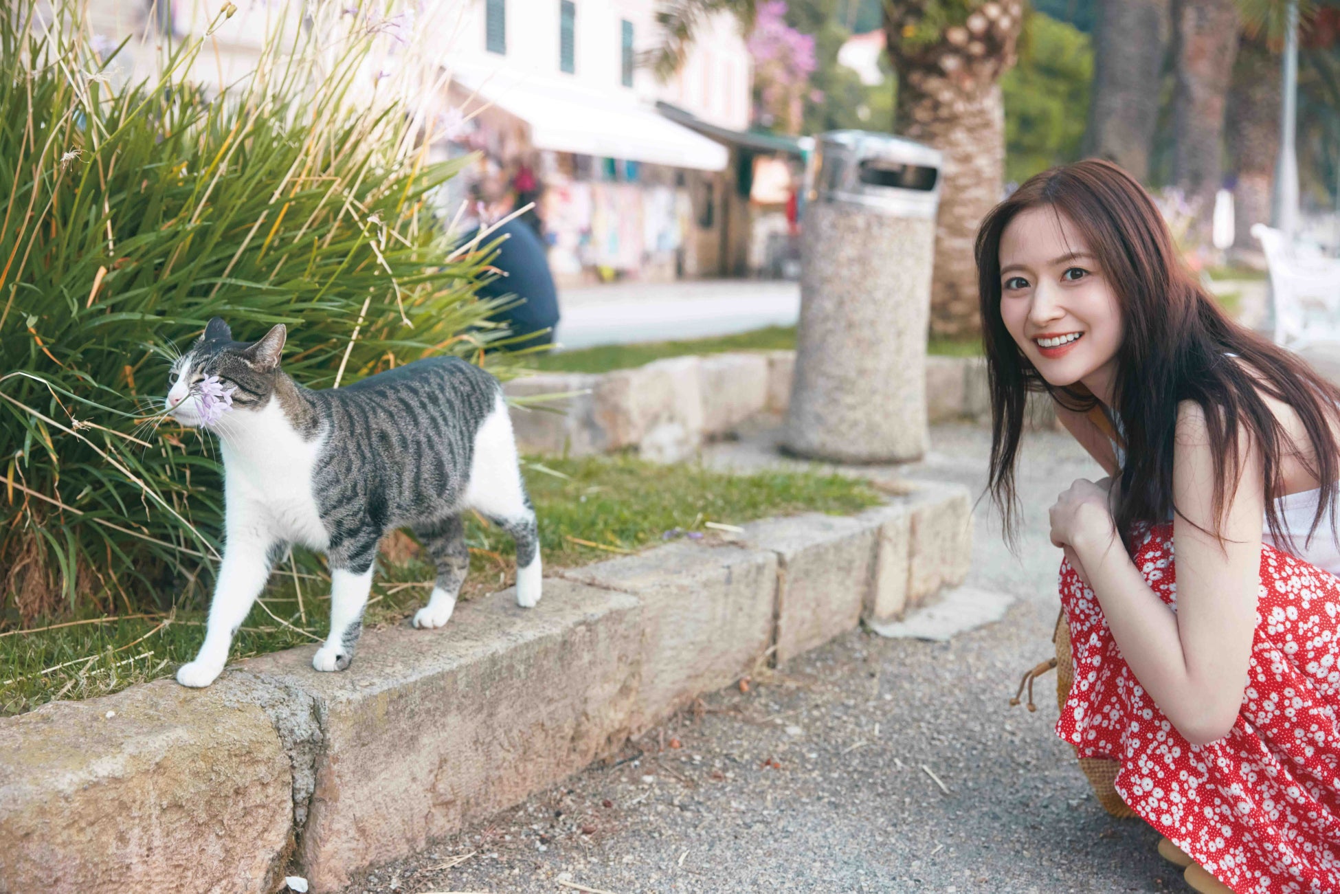 『#コンパス』、累計2,000万DLを突破！ 4月27日より劇場版『チェンソーマン レゼ篇』とのコラボを開催！