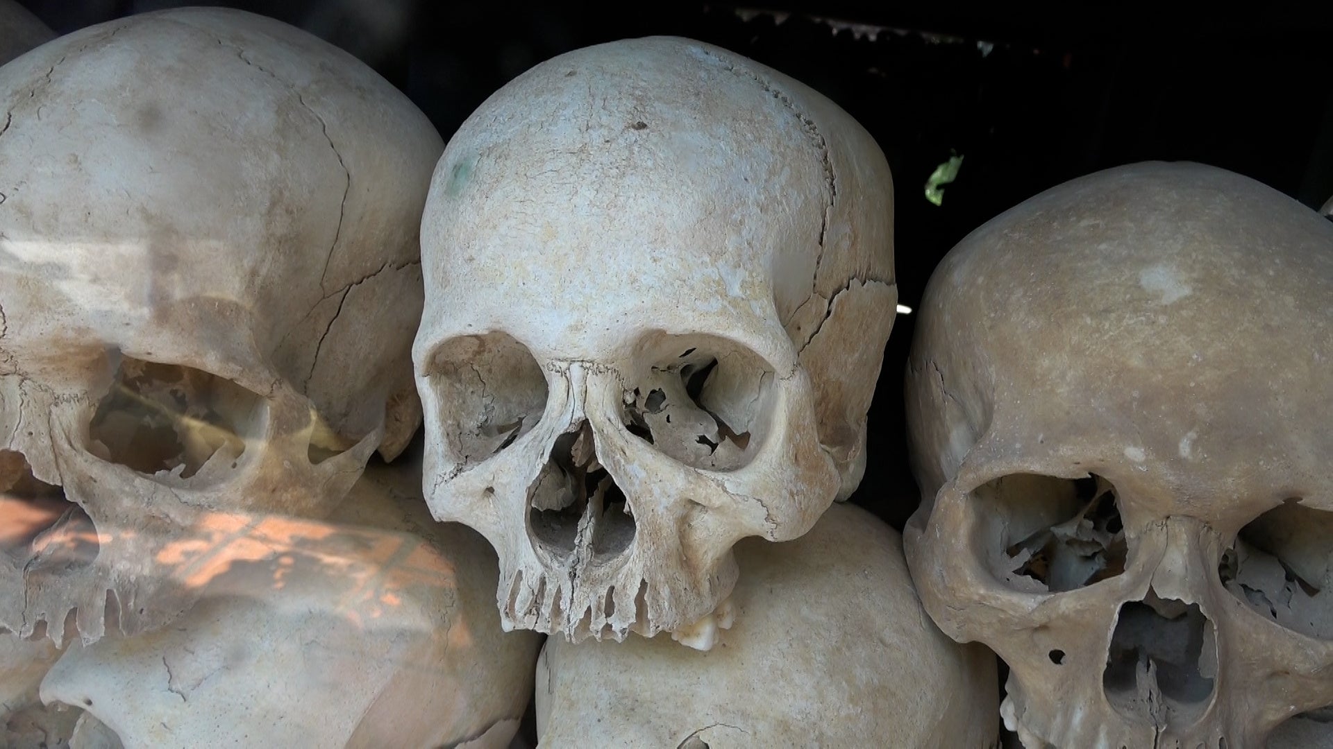 【ドキュメンタリー7】貧困地域の子どもたちがファッションショーで「自分を表現する喜び」を体験！舞台はフィリピンからカンボジア、そして日本へ…