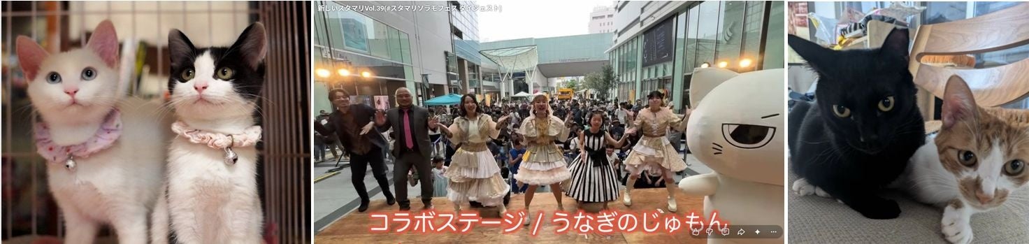 【静岡・浜松】5月31日は浜松駅前「ソラモフェス」に全員集合！!　音楽&グルメ&動物保護で「やさしさ」の輪を広げよう🐾