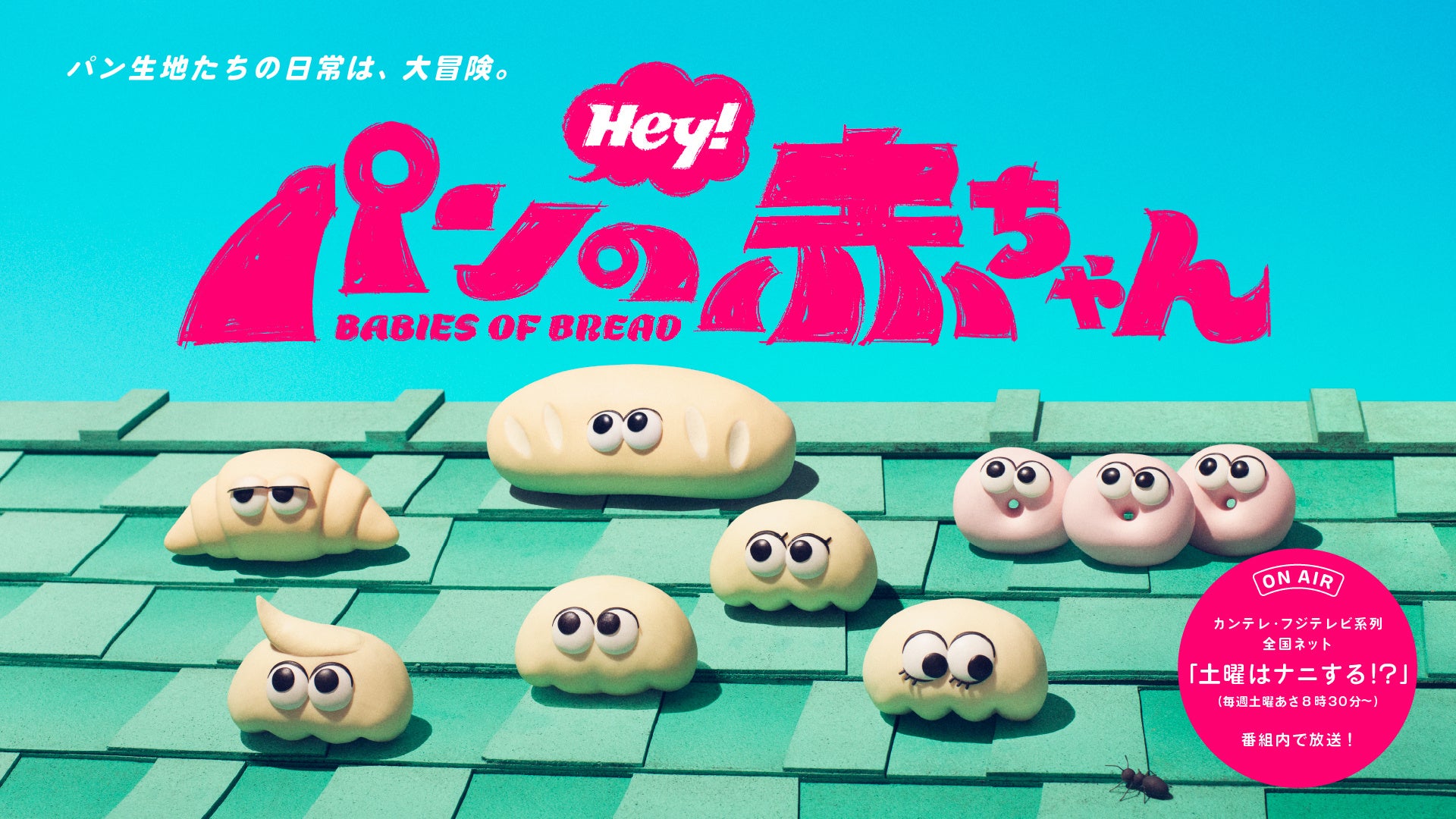 オリジナルアニメ『パンの赤ちゃん』がテレビシリーズ化！「土曜はナニする！？」にて7月4日より全国ネットで放送開始