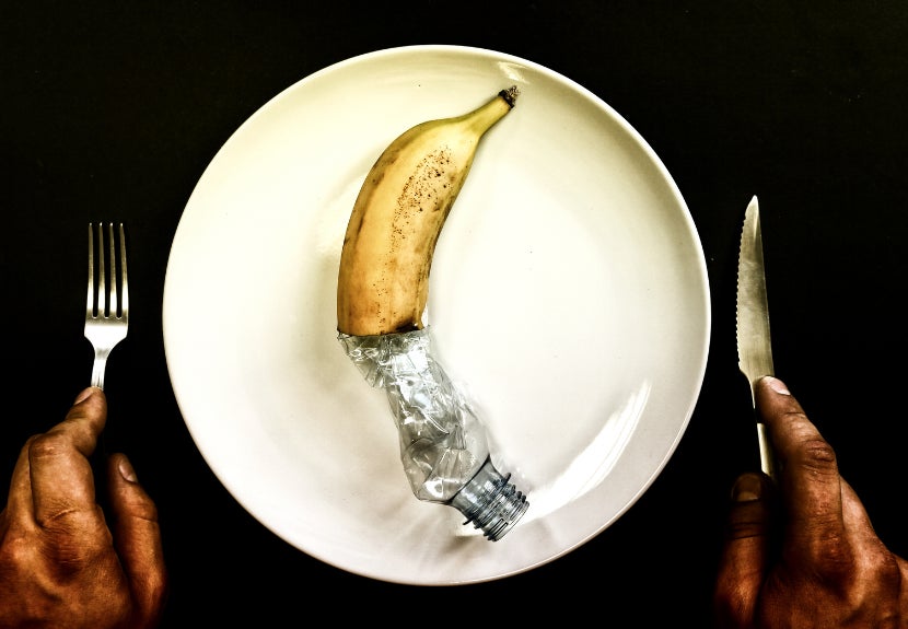 【音が、食を変える】旨味・鮮度は音で変わるのか？在米プロドラマーが創業した米国法人ONTSUBU LLCが、音響×農業の実験を開始。