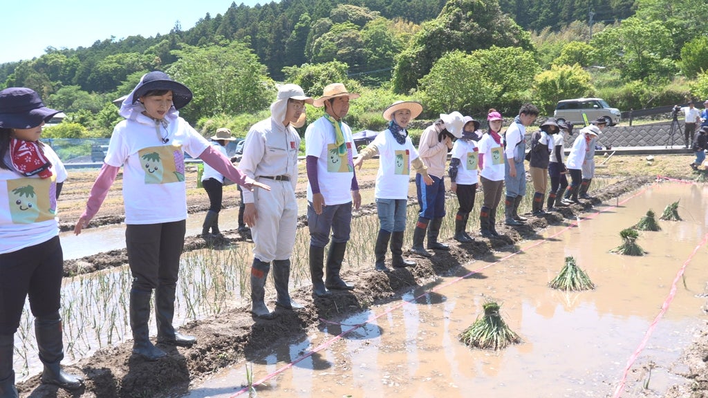 【ＢＳ日テレ】なおみ農園～大分・国東半島に江戸時代から伝わる幻の植物「七島藺」を植え付ける！～６月４日（木）よる１０時放送