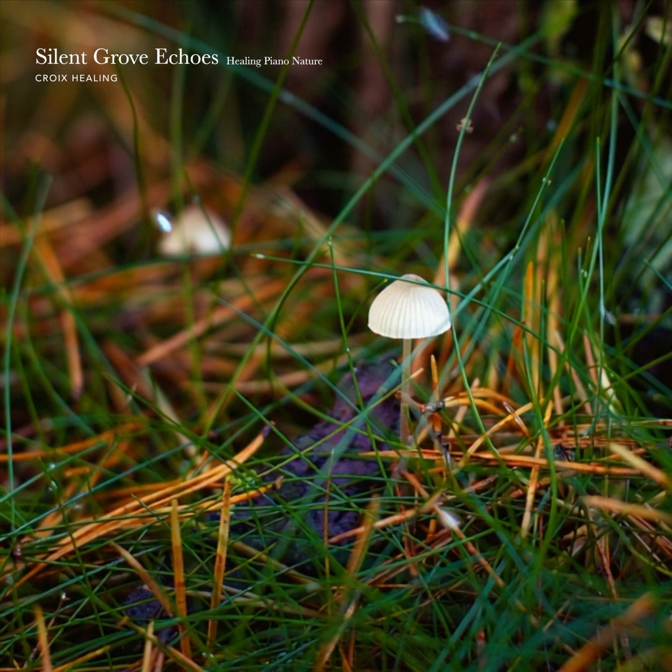 「調和の周波数とされる639Hzソルフェジオと自然音が響く。ヒーリングピアノ作品『Silent Grove Echoes: Healing Piano Nature』6月5日配信開始」