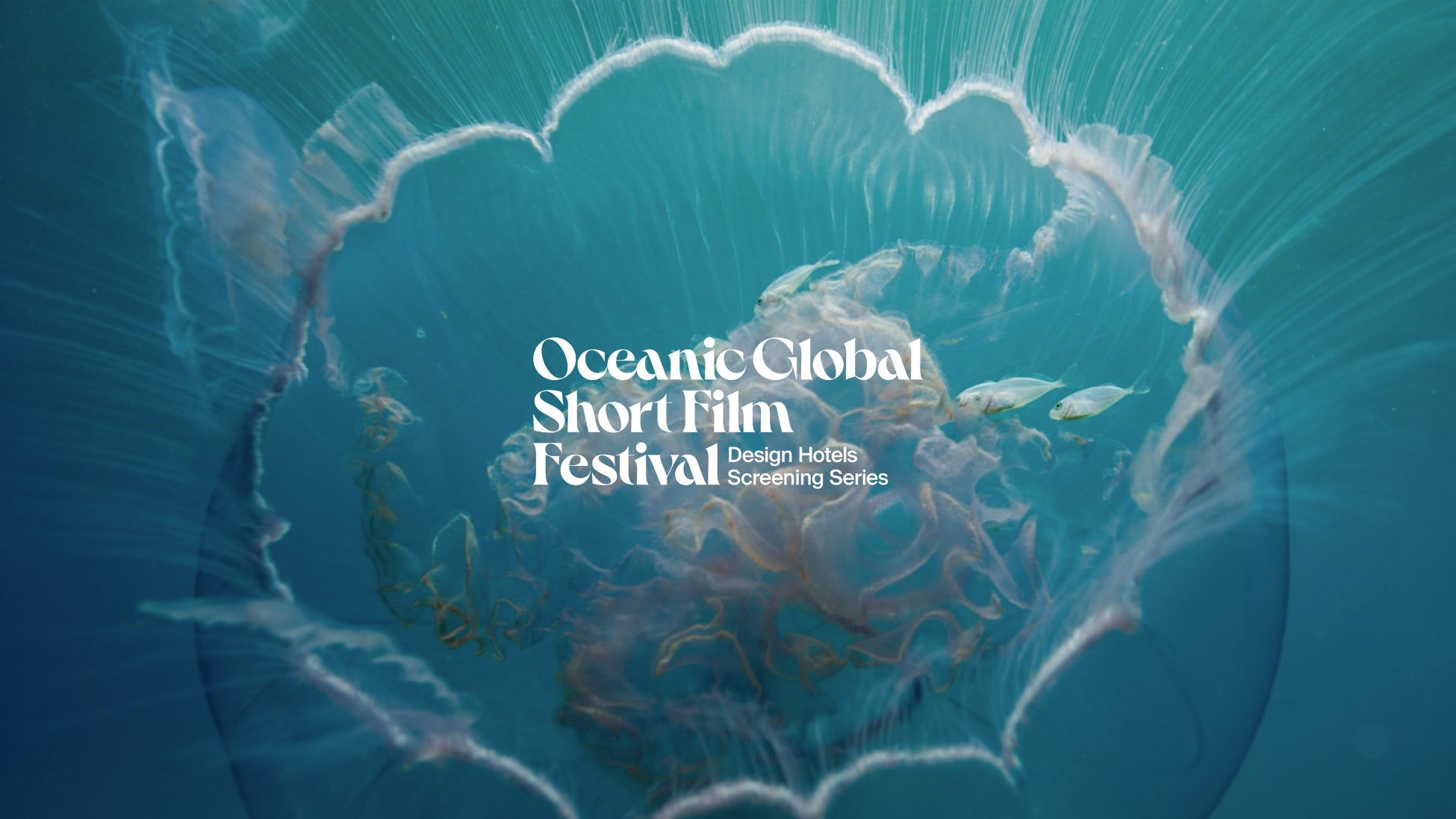 【瀬戸内リトリート 青凪】海洋保全をテーマにした国際短編映画祭受賞作品を上映