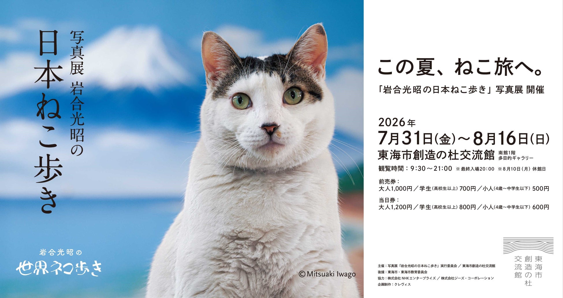 猫好き必見！岩合光昭氏による「岩合光明の日本ねこ歩き」写真展が夏休み特別企画として開催