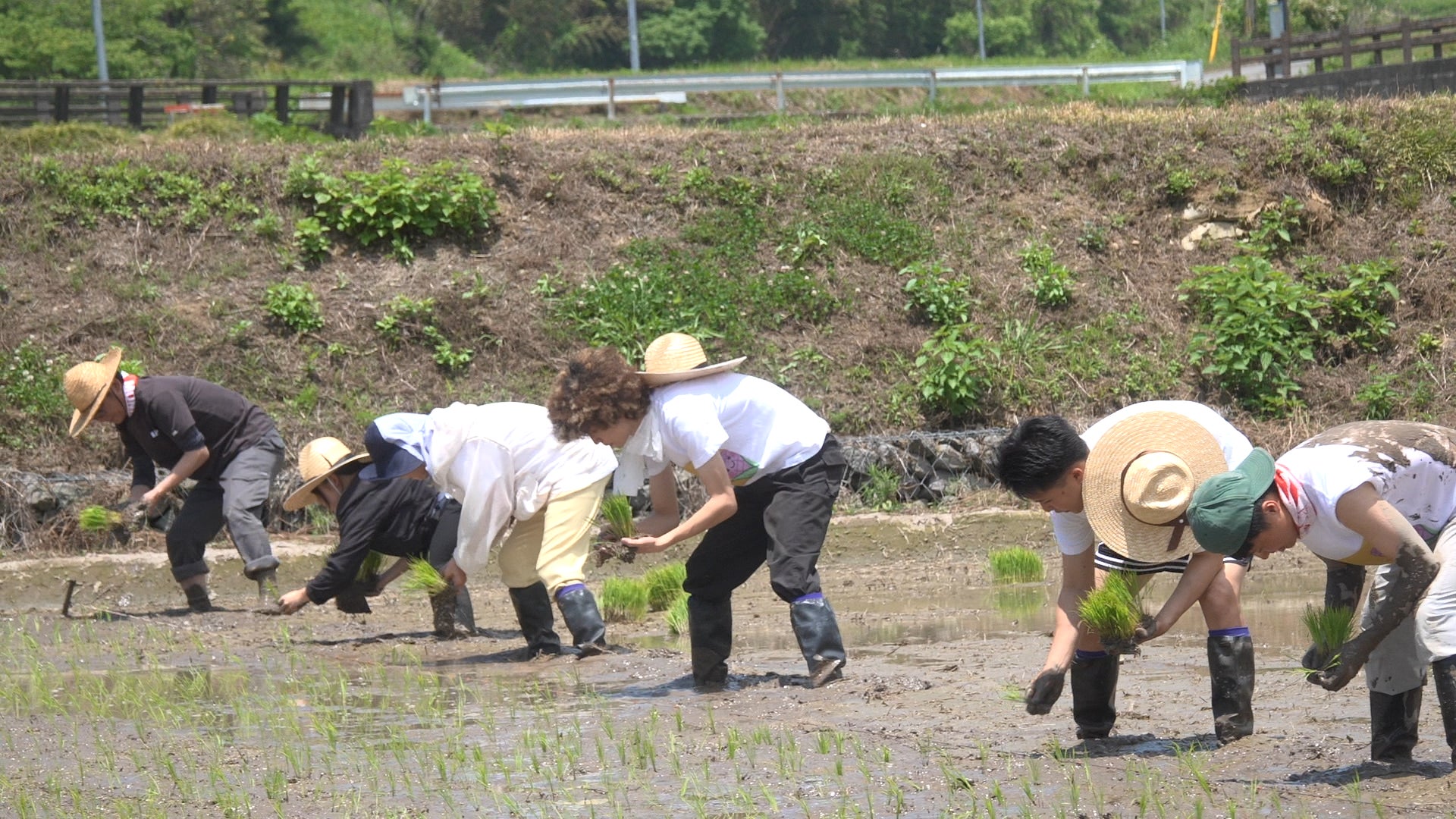 【ＢＳ日テレ】なおみ農園～２年目の米づくり始動！泥まみれになりながら…今年も手植えにこだわります！～６月１８日（木）よる１０時放送