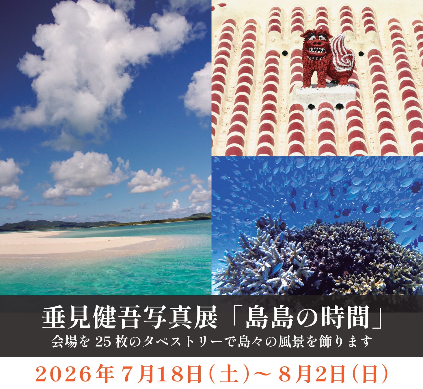 愛知出身の豪華ゲストが集結!MC天野ひろゆき、ゲストに瀬戸朝香&千賀健永が決定!8月1日(土)「岡崎城大花火」を地上波&Locipo同時生配信でお届け!