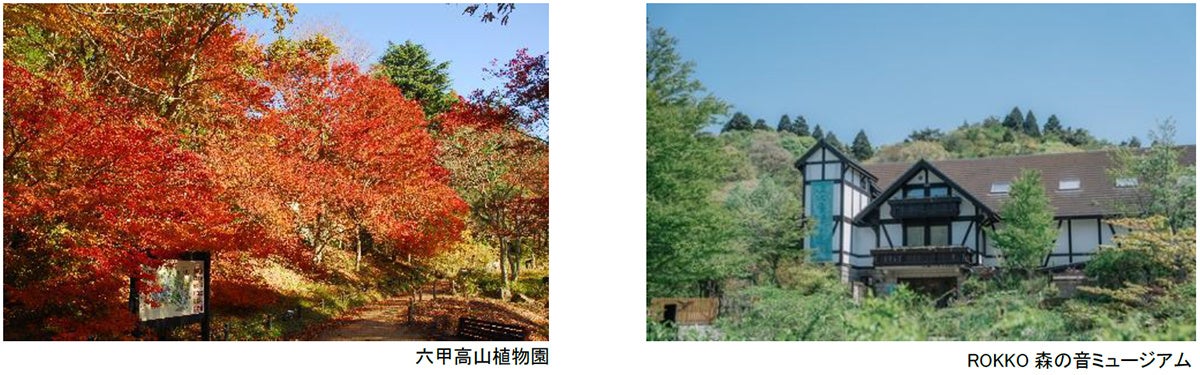 六甲高山植物園 ROKKO森の音ミュージアム 文化の秋 月曜こども無料キャンペーン 秋の月曜日は、こども入場無料